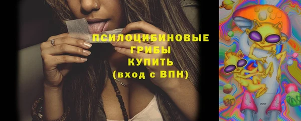 соль ск Балахна