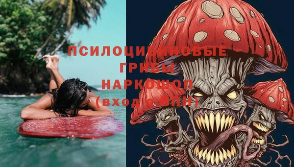 соль ск Балахна